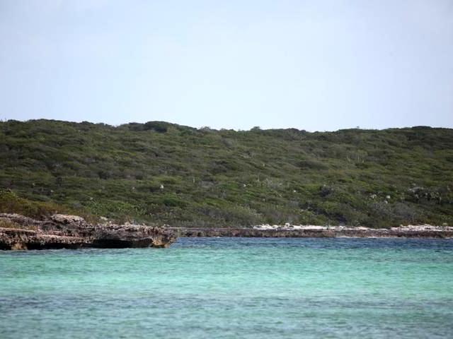 289 ACRES BURROWS HARBOUR