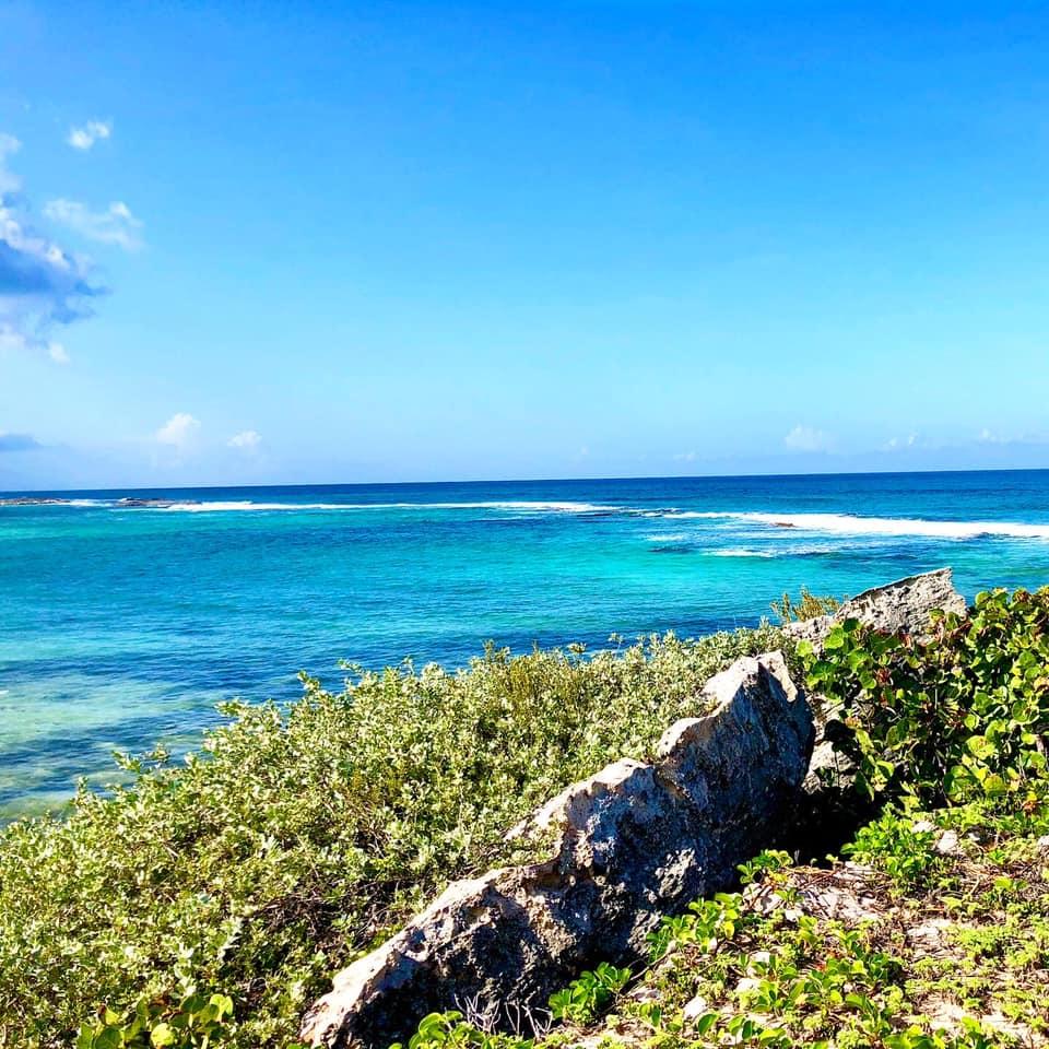 BLACK POINT AT KINGS BAY