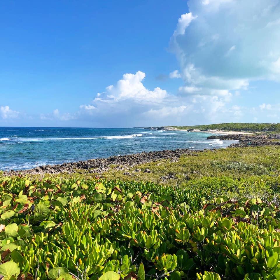 BLACK POINT AT KINGS BAY