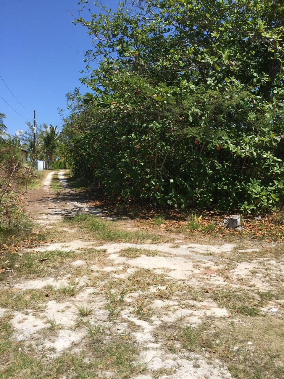 CONGO TOWN, SOUTH ANDROS