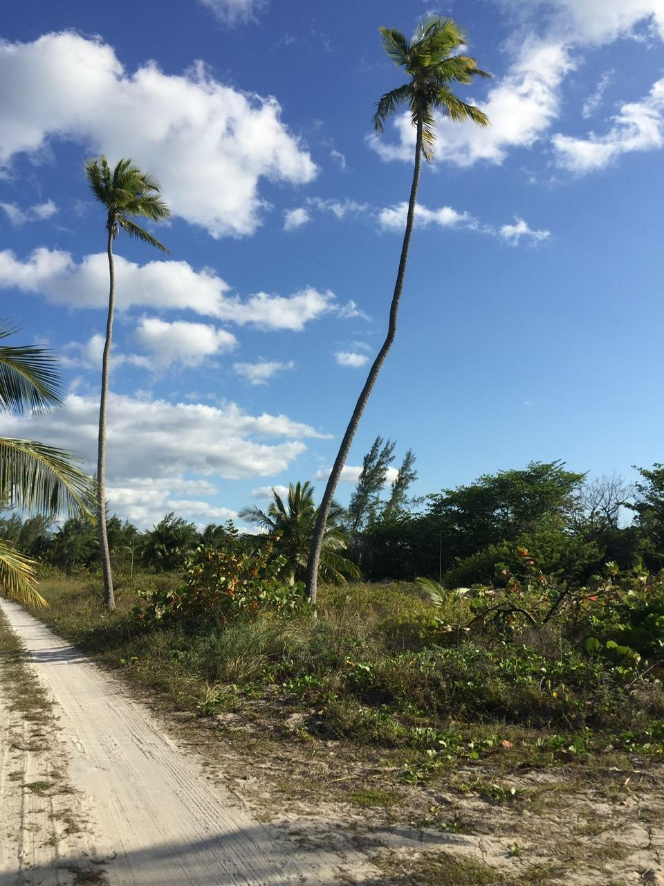 CONGO TOWN, SOUTH ANDROS