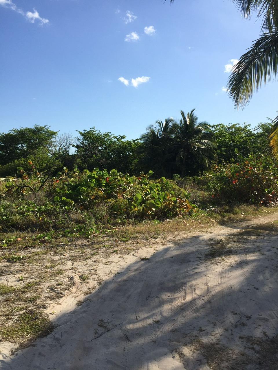 CONGO TOWN, SOUTH ANDROS