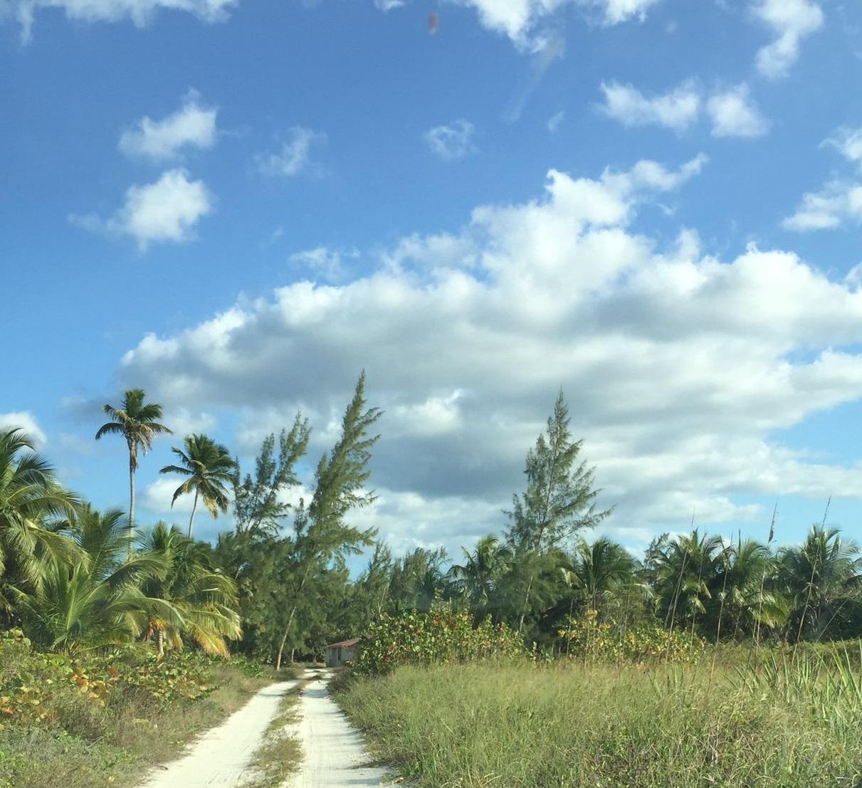 CONGO TOWN, SOUTH ANDROS