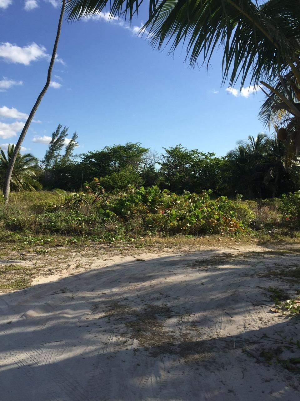 CONGO TOWN, SOUTH ANDROS