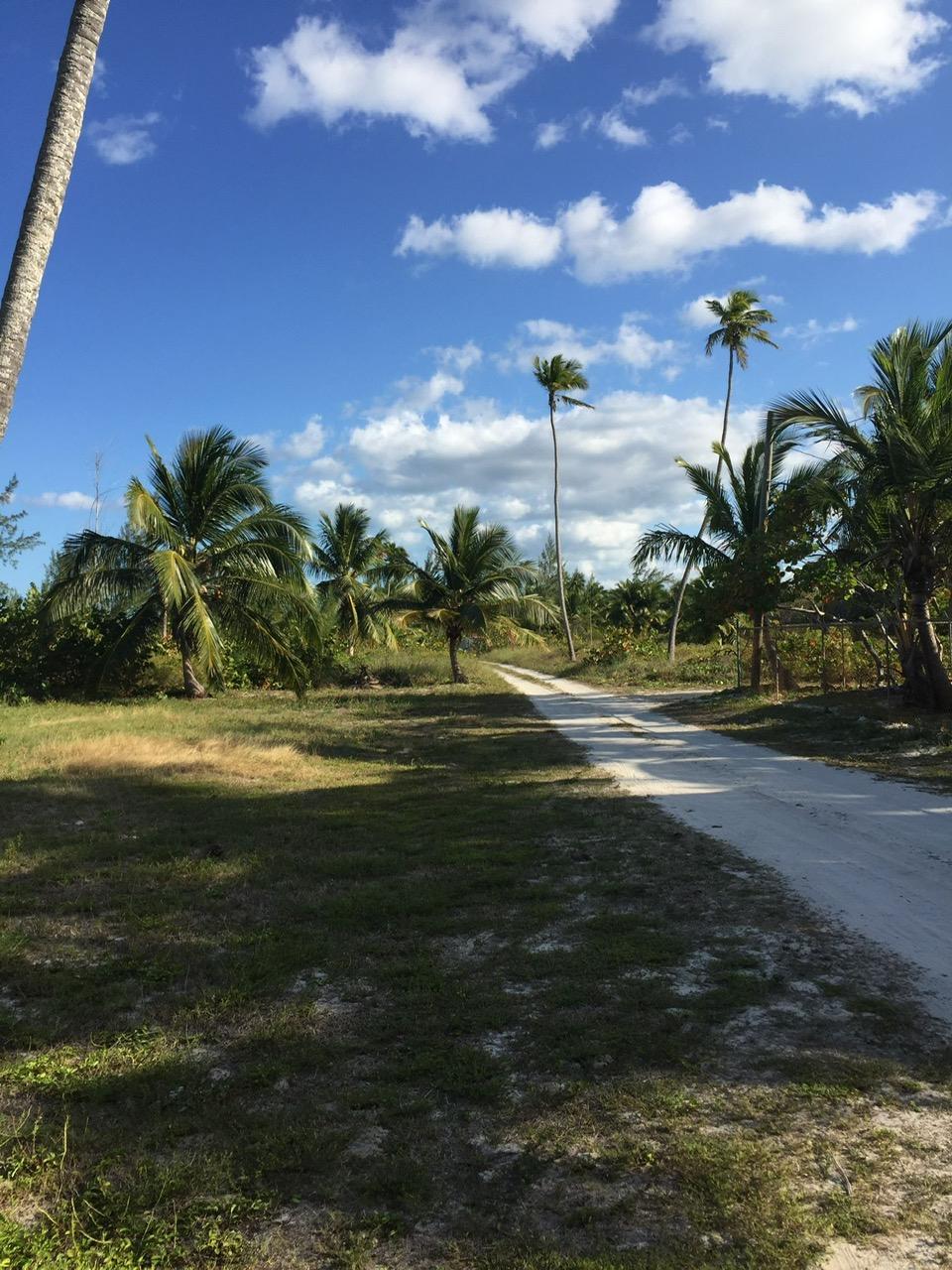 CONGO TOWN, SOUTH ANDROS
