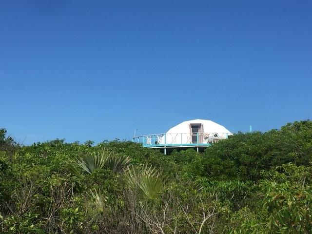 DRIFTWOOD DOME