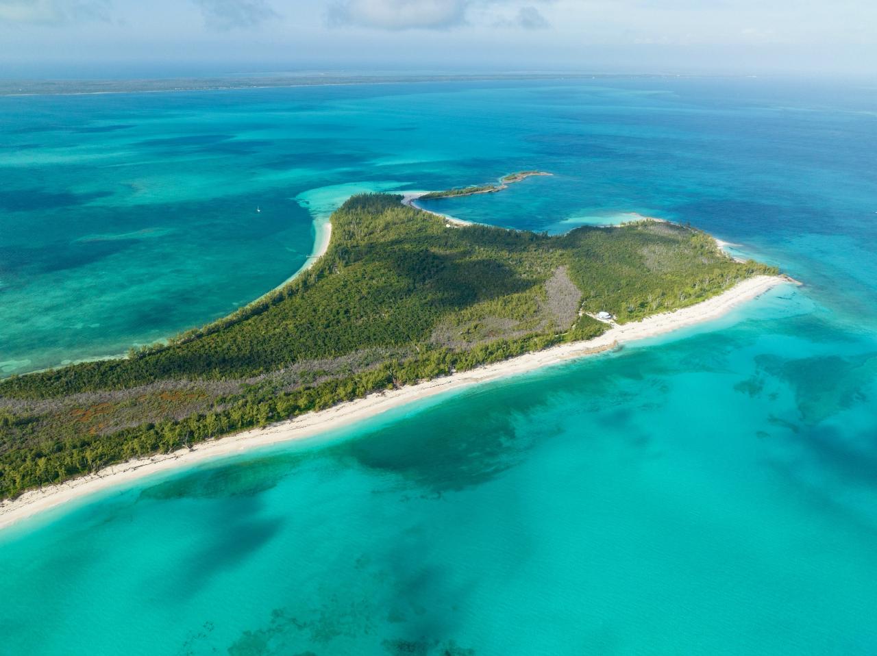 MUNJACK CAY