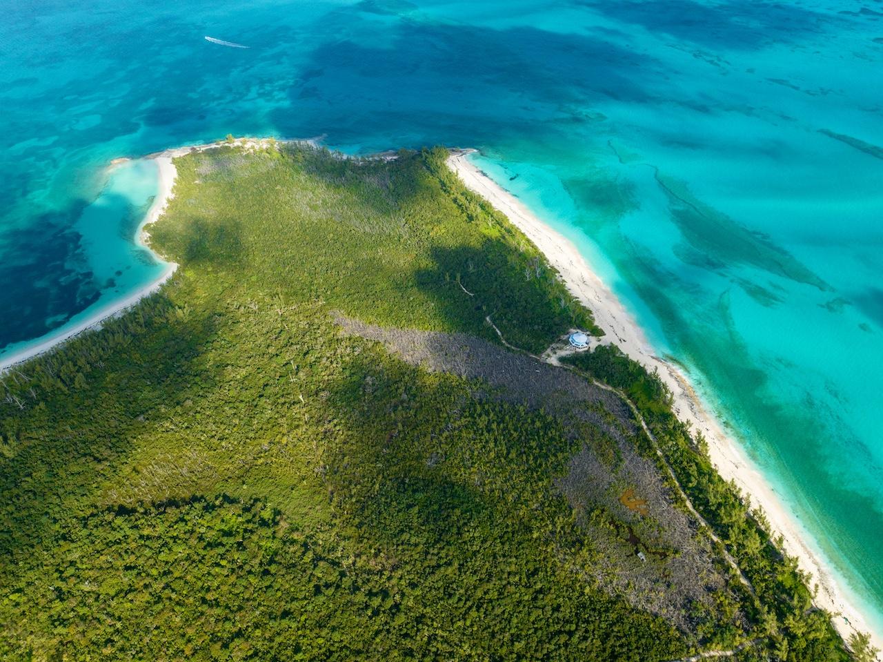 MUNJACK CAY