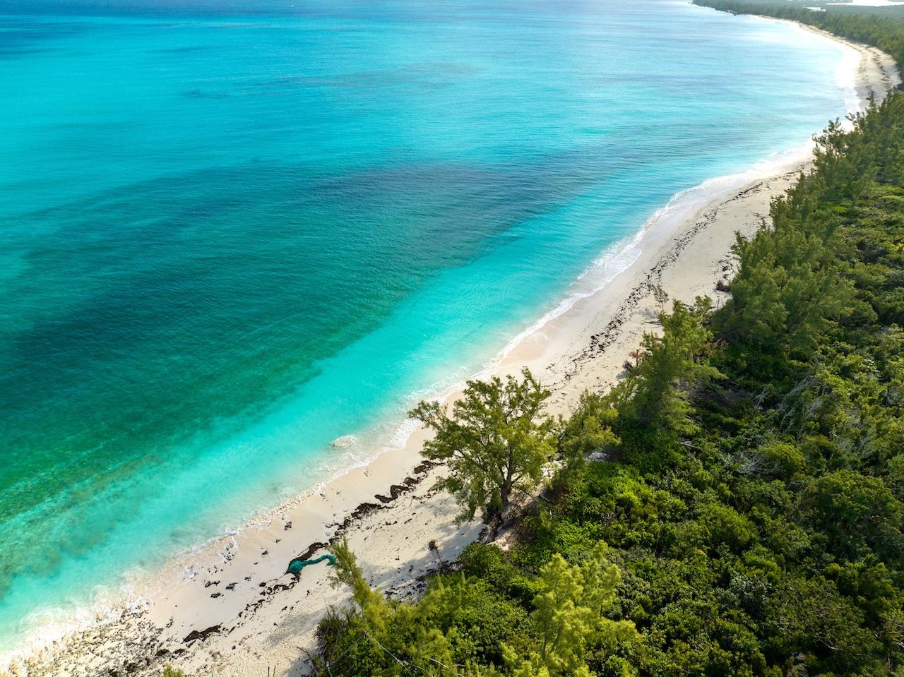 MUNJACK CAY