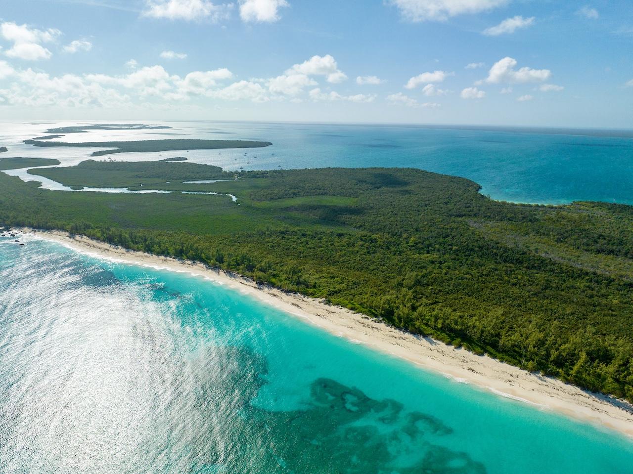 MUNJACK CAY