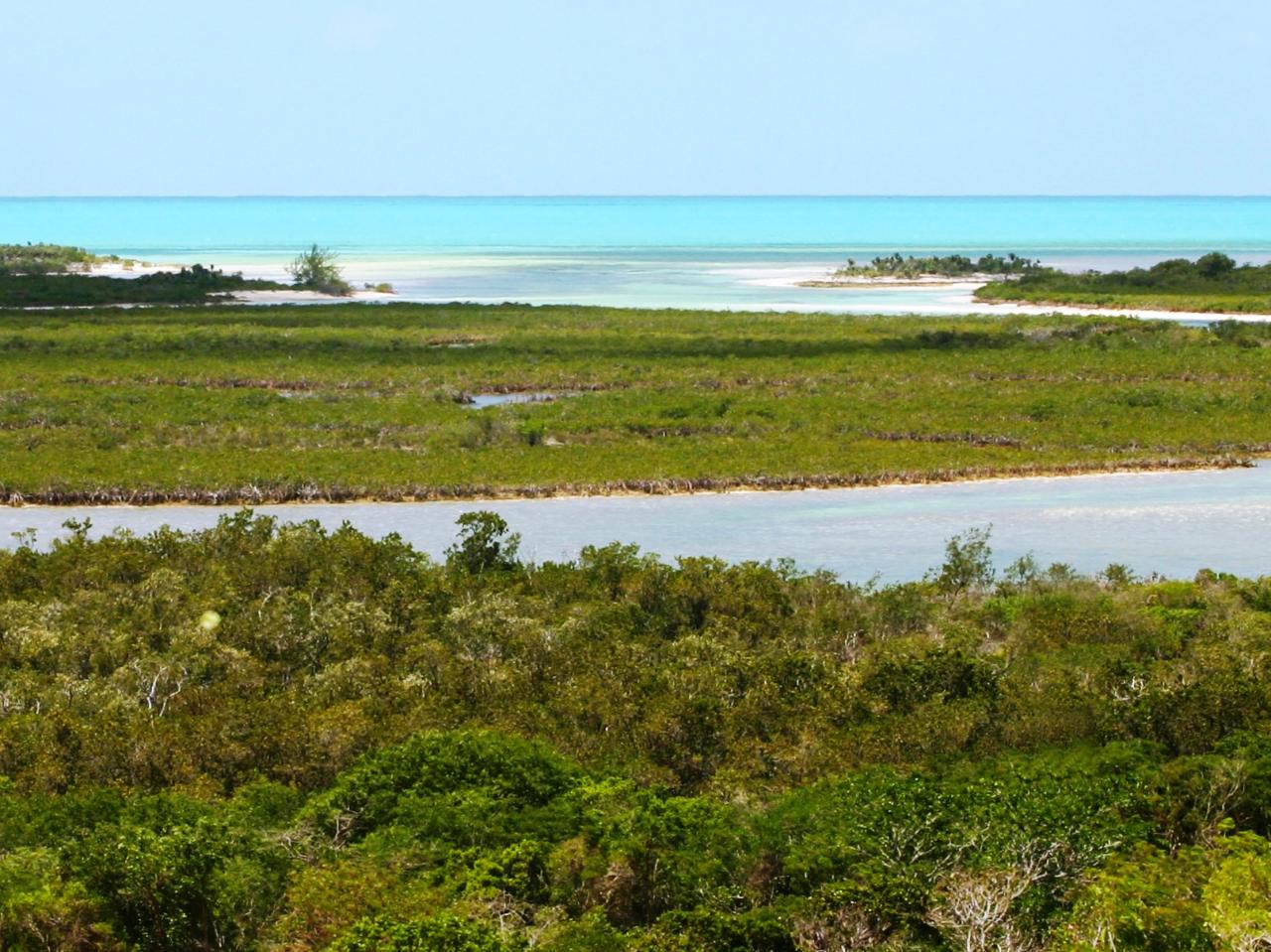 Exuma Lots 826 & 827