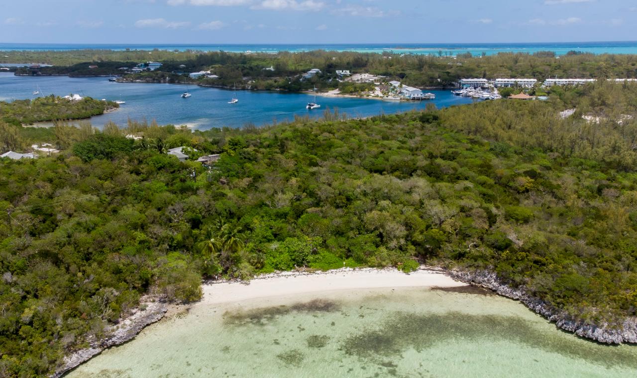 BARDOT BEACH, ISABELLA CL