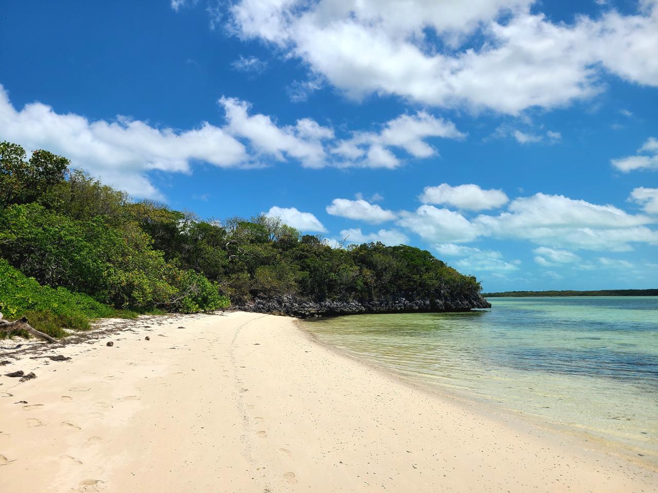 BARDOT BEACH, ISABELLA CL