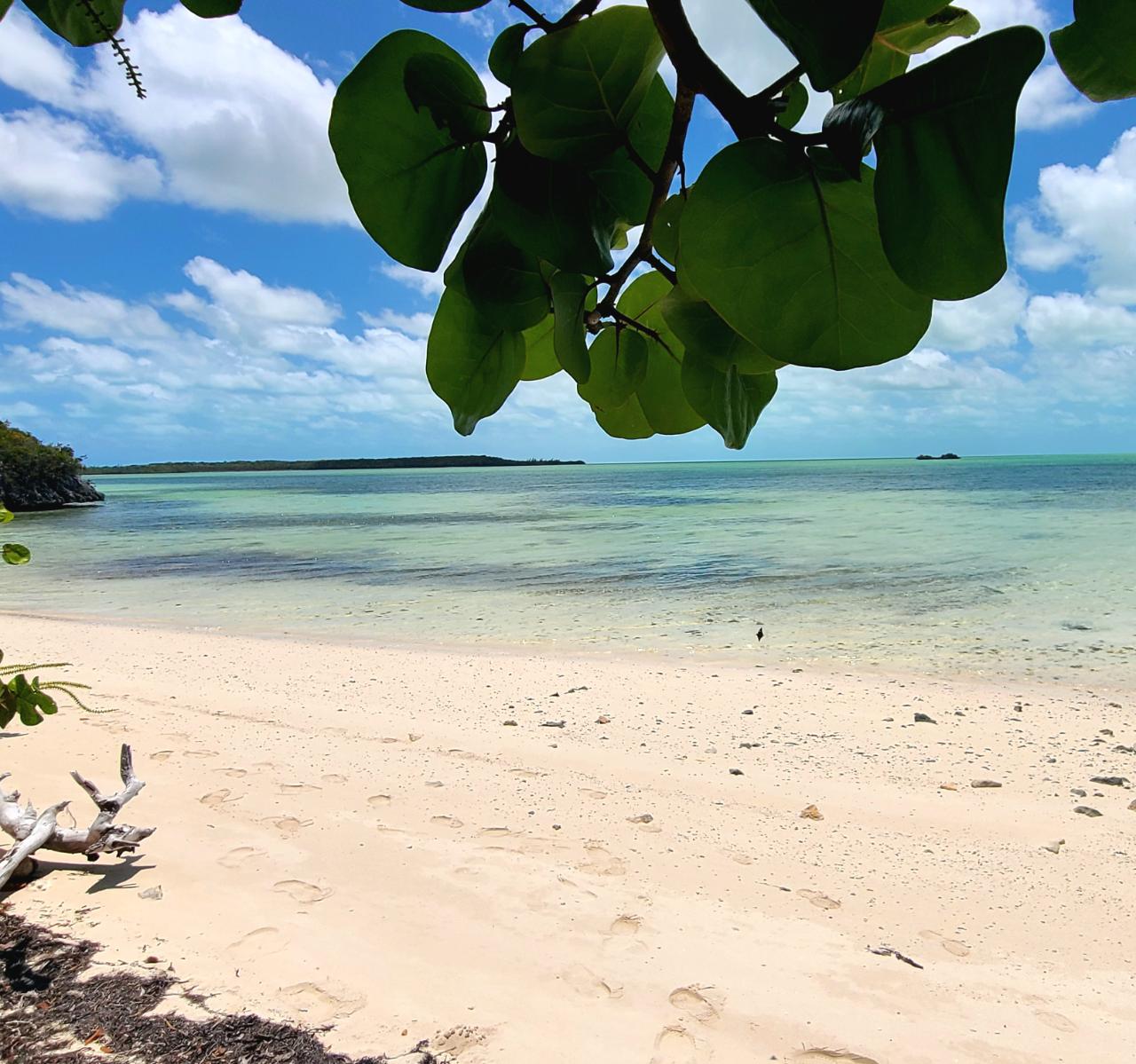 BARDOT BEACH, ISABELLA CL