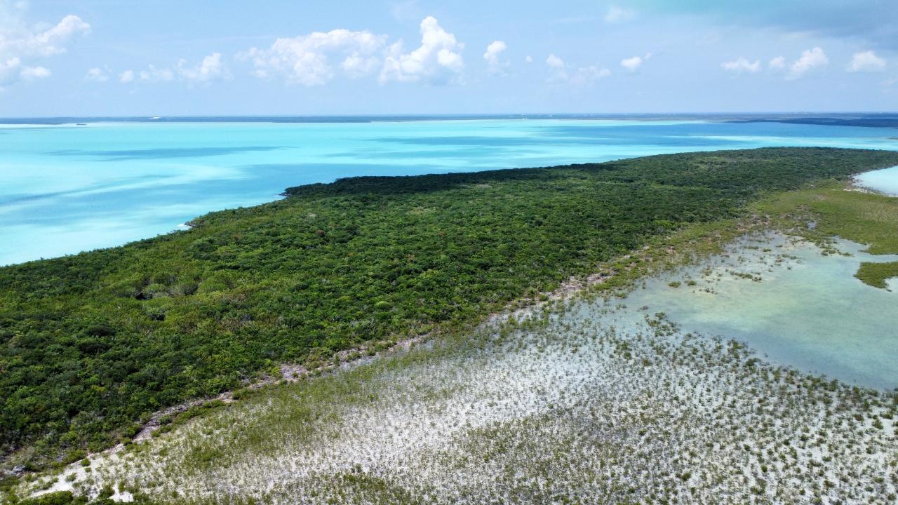 HOG/MINGO ROLLE CAY