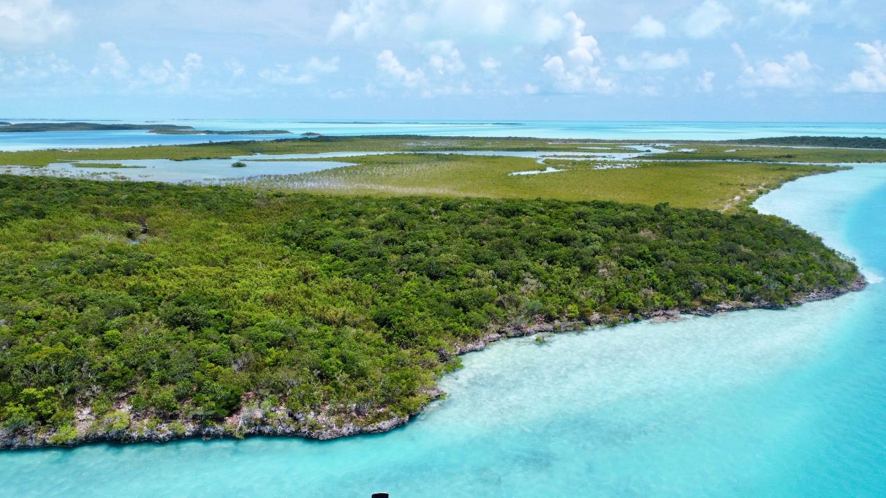 HOG/MINGO ROLLE CAY