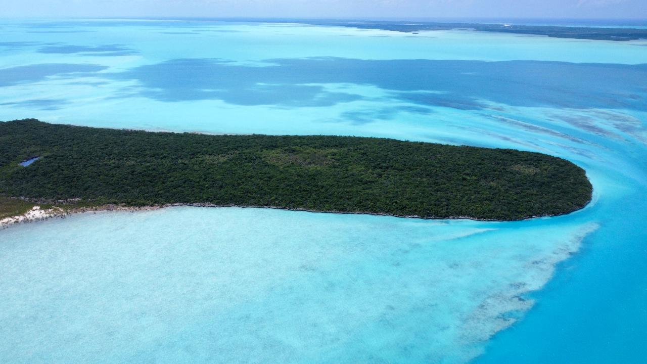 HOG/MINGO ROLLE CAY