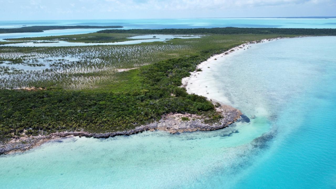 HOG/MINGO ROLLE CAY