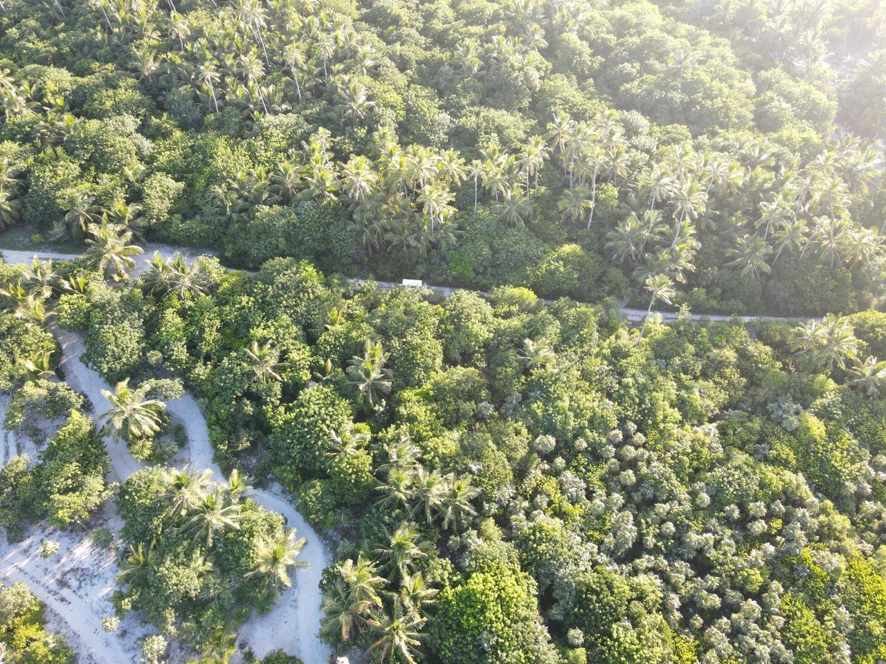 DOUBLE BAY LAKE LOT 2C