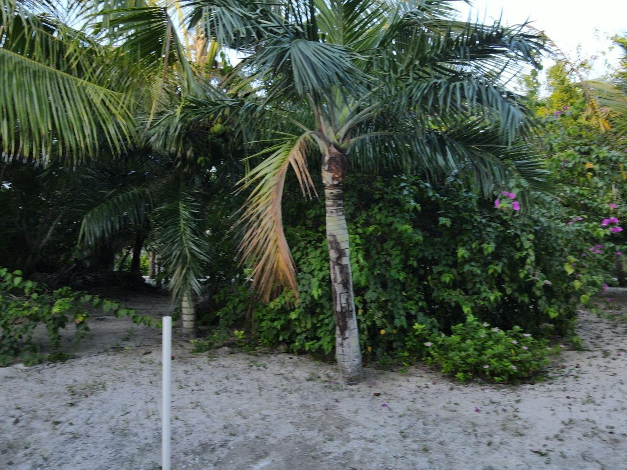 DOUBLE BAY LAKE LOT 2C