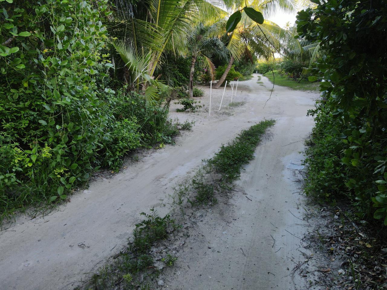 DOUBLE BAY LAKE LOT 2C