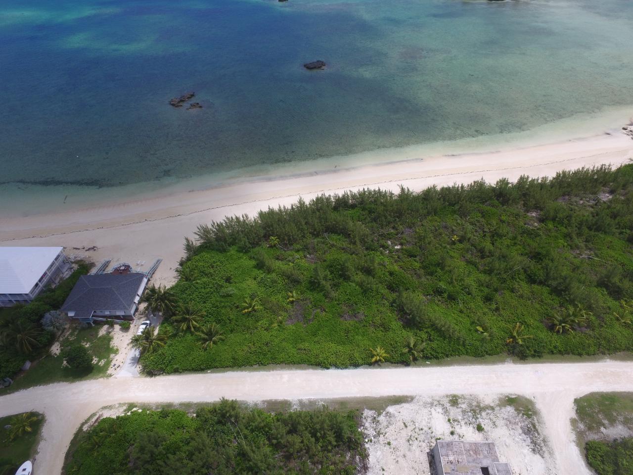 Beachfront Lot # 233