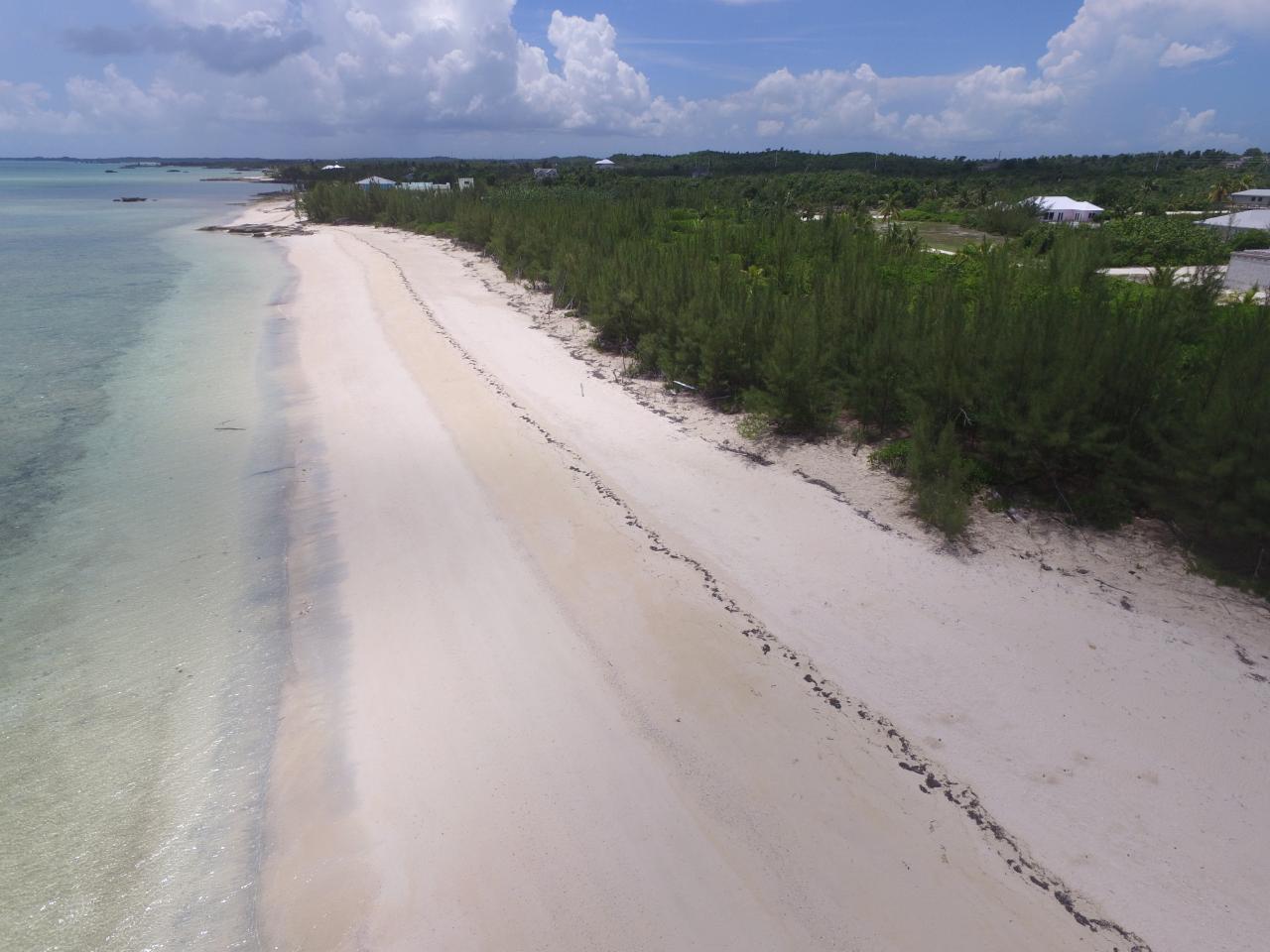 Beachfront Lot # 233
