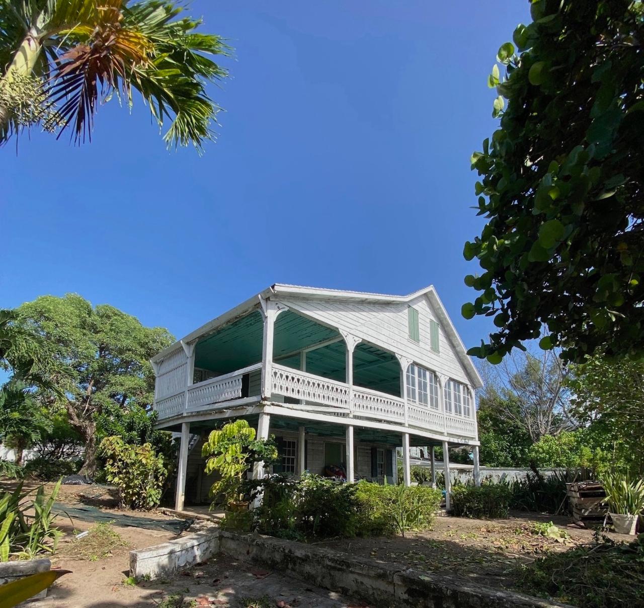 TABEBUIA TERRACE