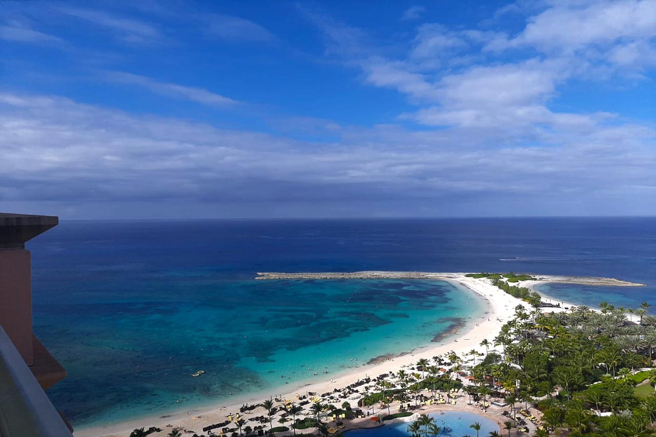 The Reef