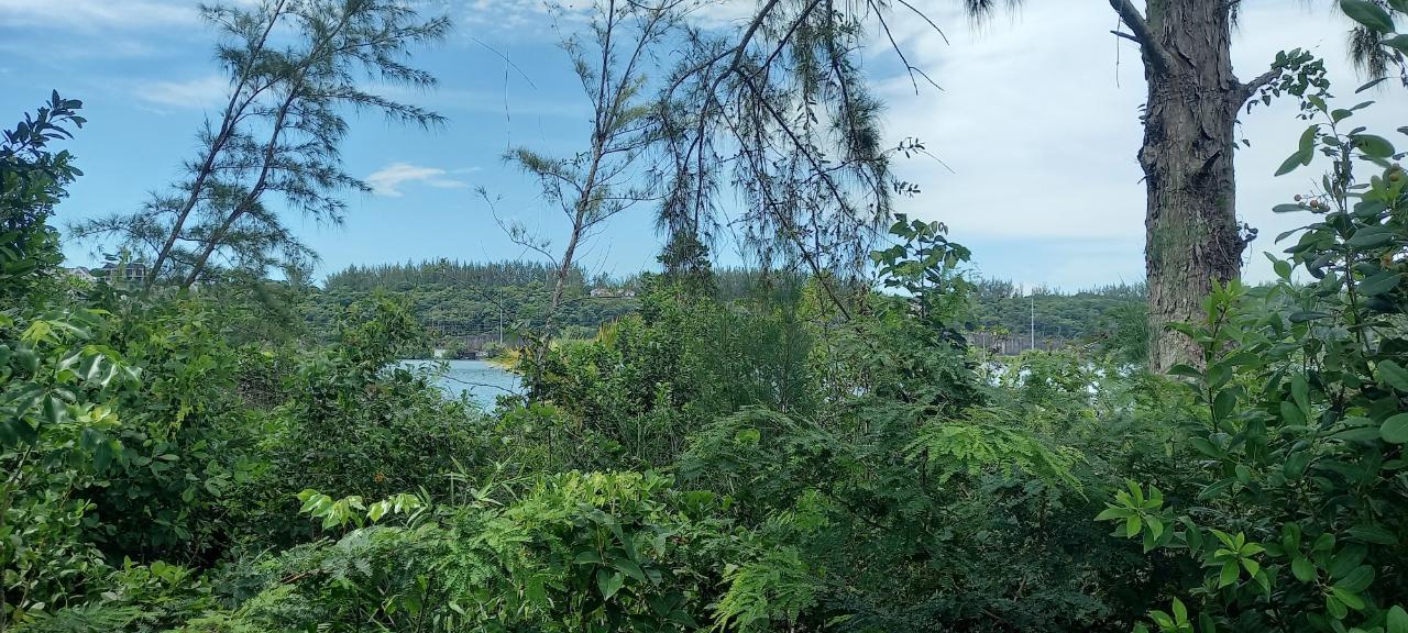 LAKE CUNNINGHAM ESTATES L