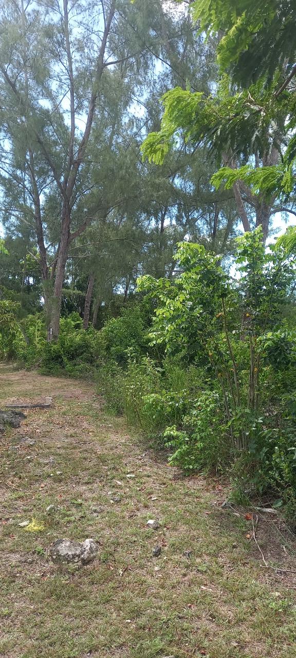 LAKE CUNNINGHAM ESTATES L