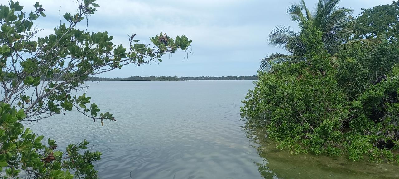 LAKE CUNNINGHAM ESTATES L