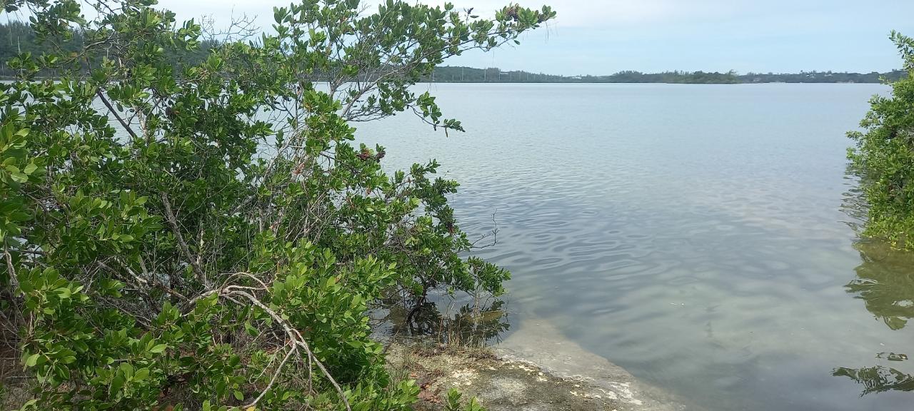 LAKE CUNNINGHAM ESTATES L