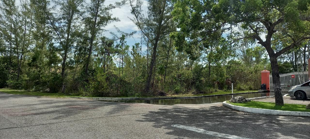 LAKE CUNNINGHAM ESTATES L