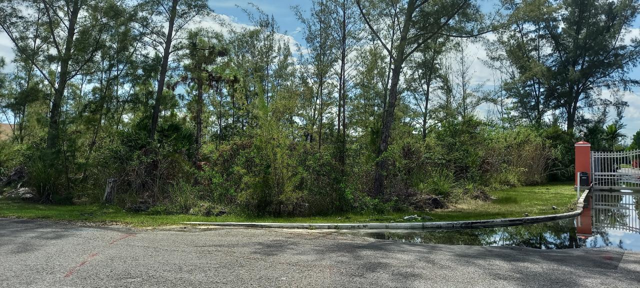 LAKE CUNNINGHAM ESTATES L