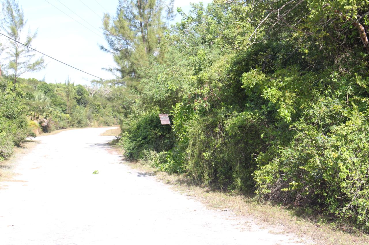 CASUARINA DRIVE