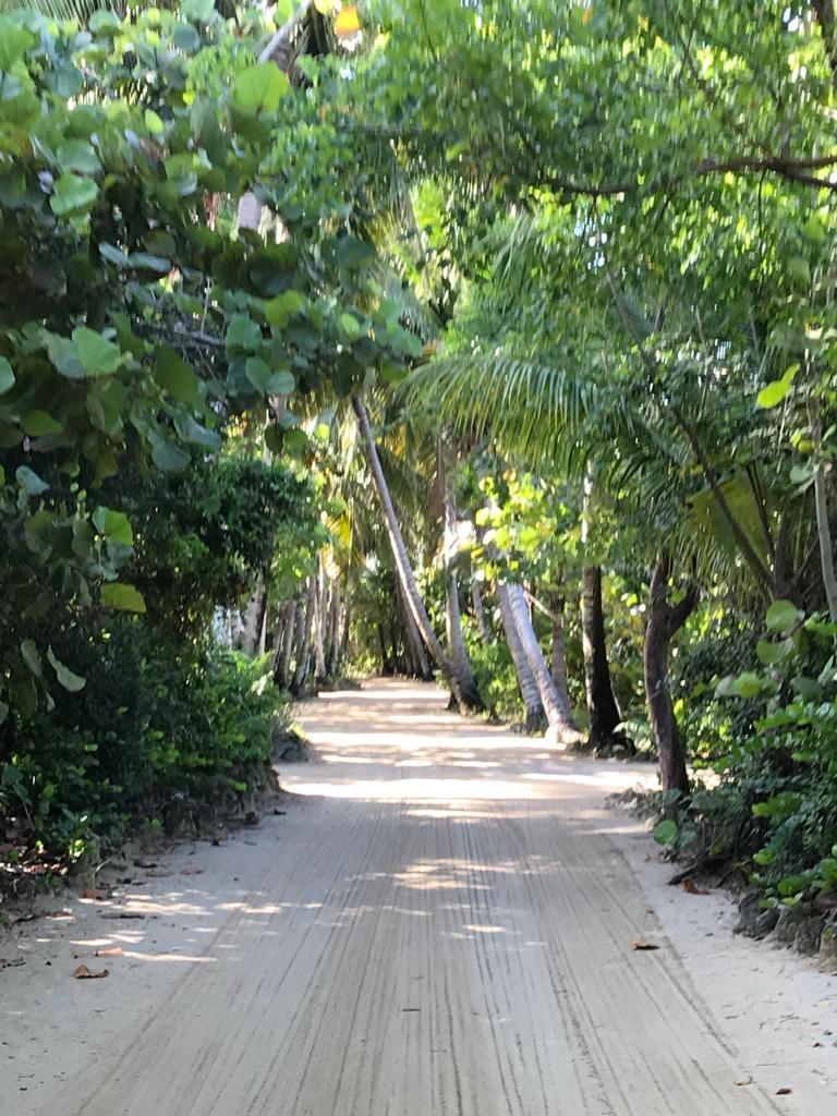 STANIARD CREEK, ANDROS