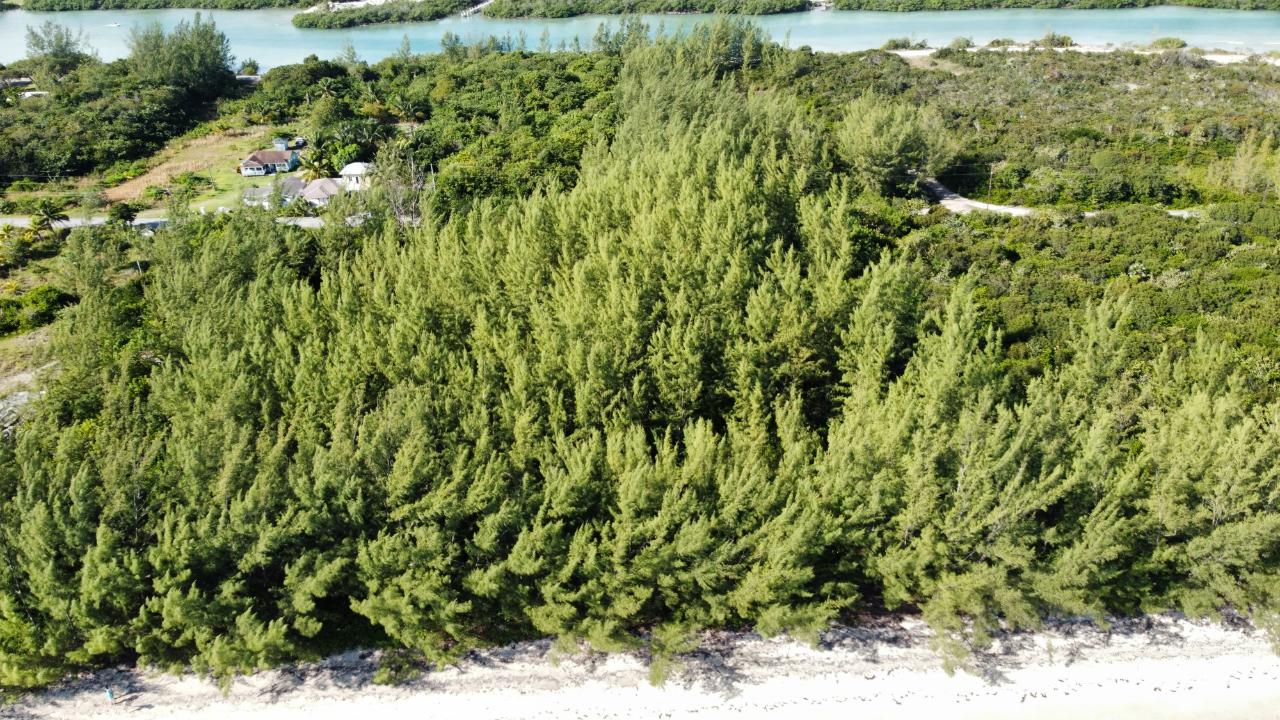 STANIARD CREEK, ANDROS