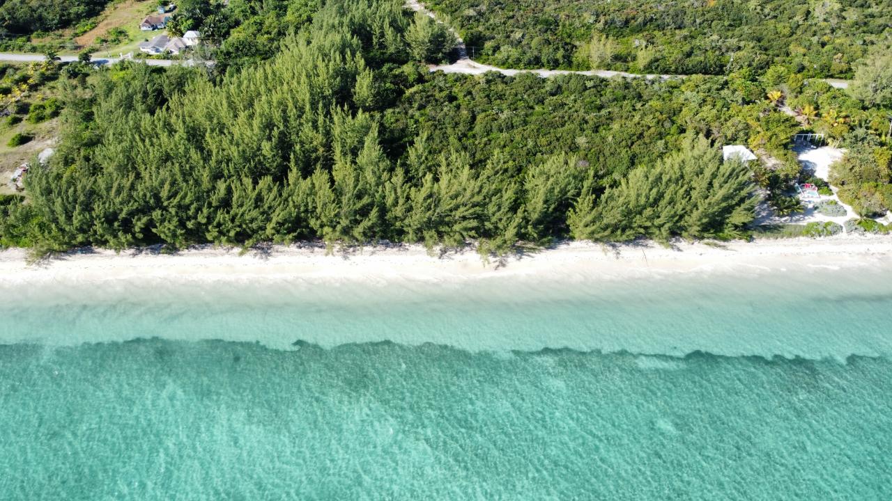 STANIARD CREEK, ANDROS