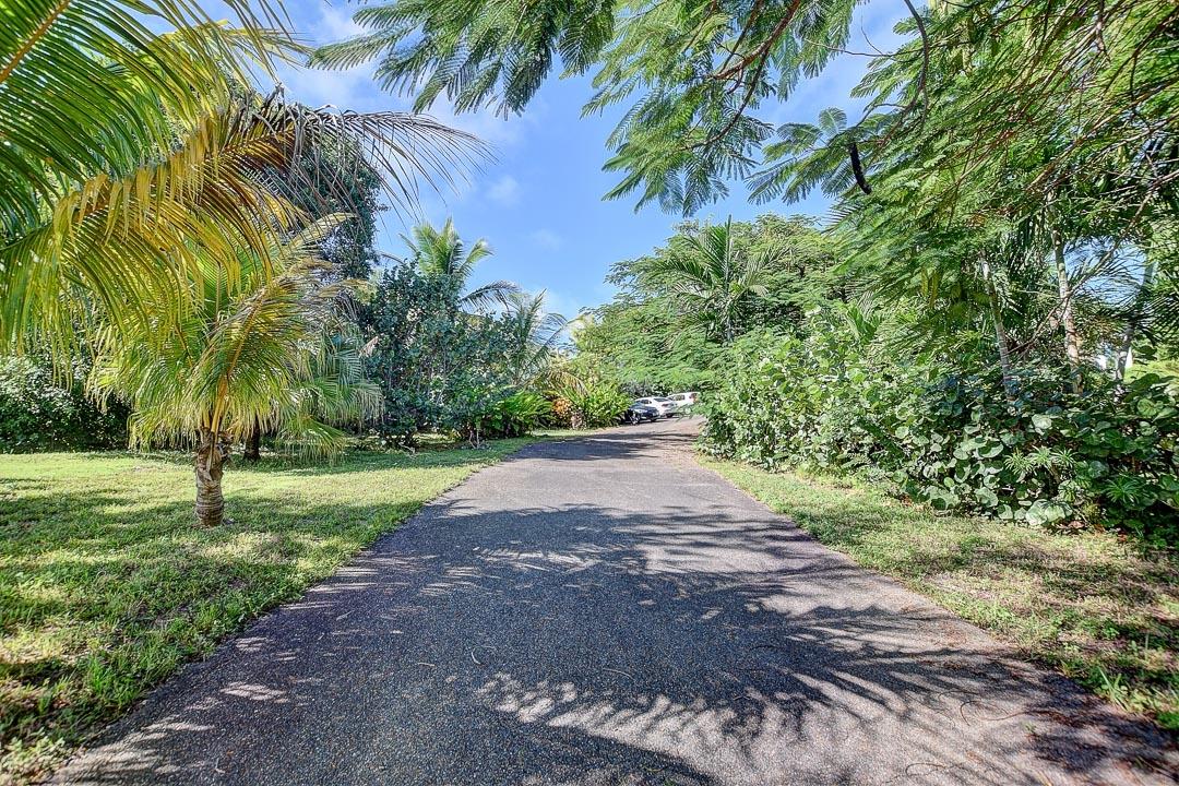 OCEAN VIEW DRIVE