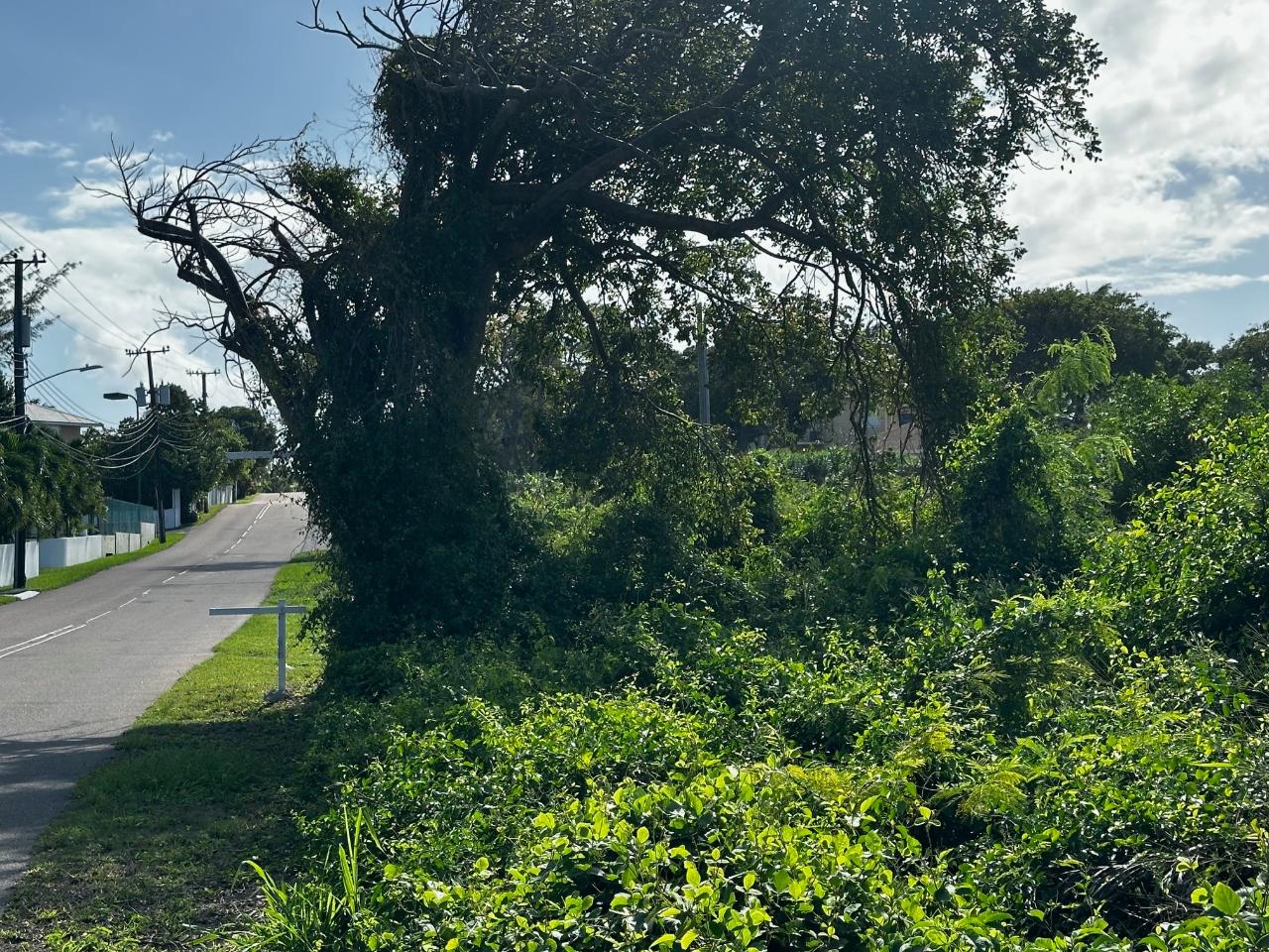 EASTERN ROAD VACANT LOT