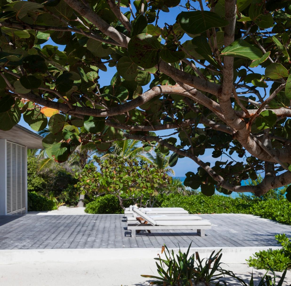 House on a Dune