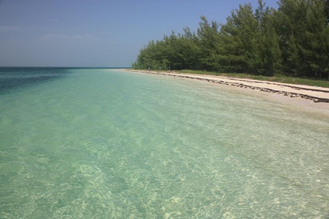 POWELL CAY