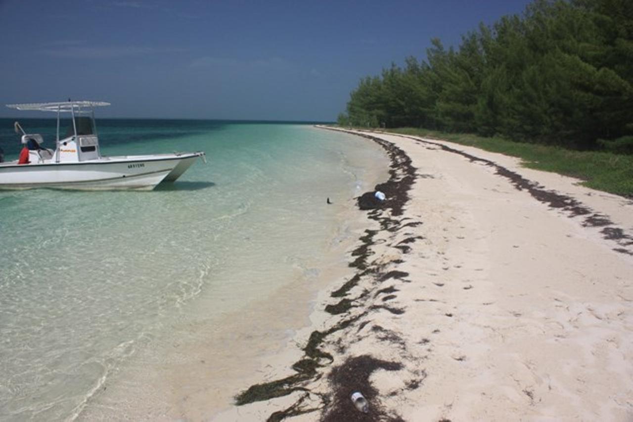 POWELL CAY