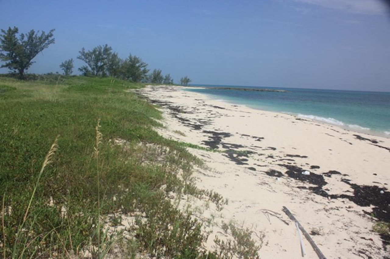 POWELL CAY