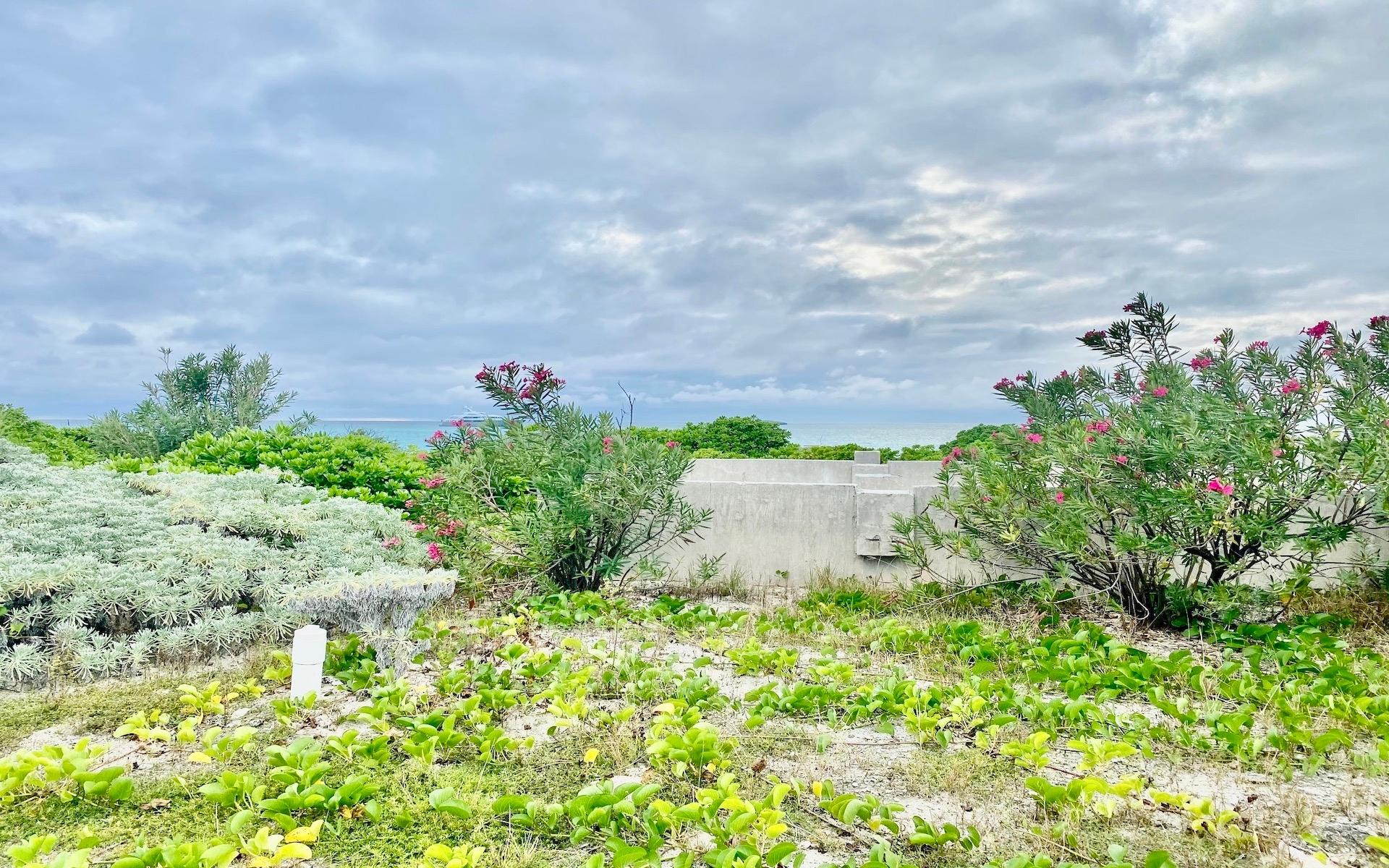 LOT 29 CHUB CAY VILLAS