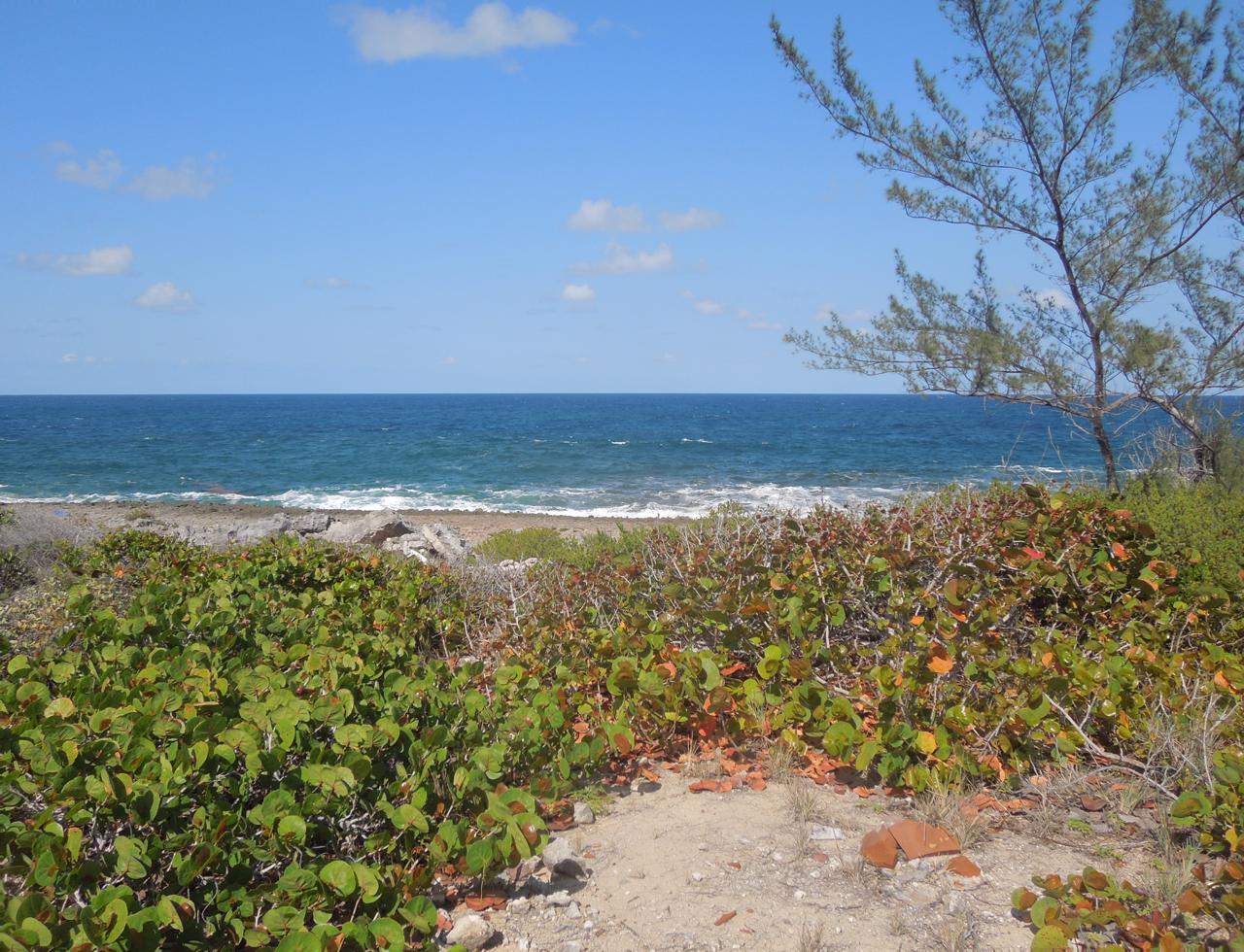 Eleuthera Vacant Lot