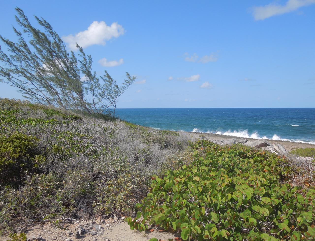 Eleuthera Vacant Lot