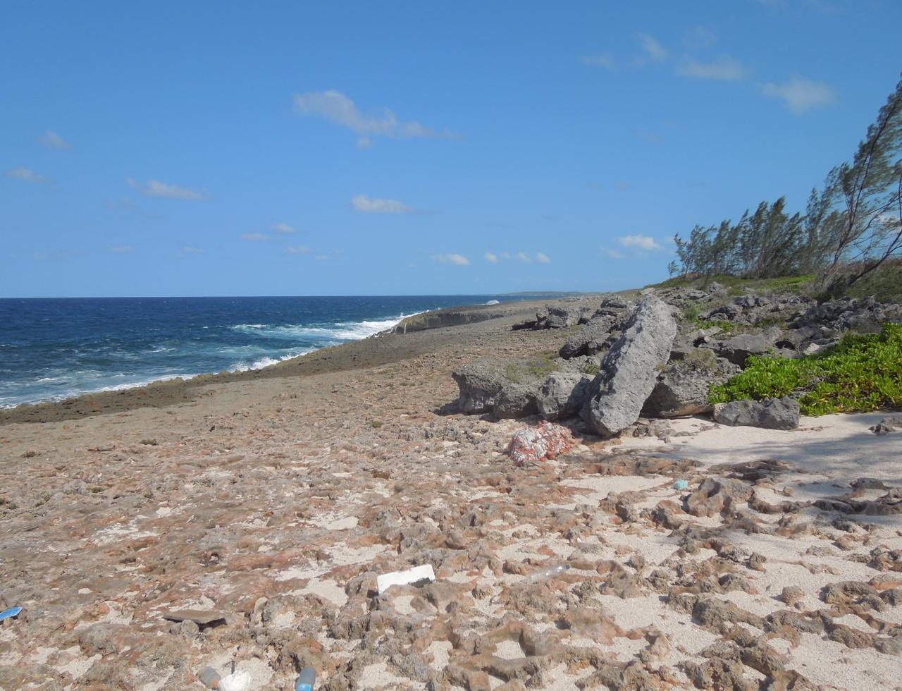 Eleuthera Vacant Lot