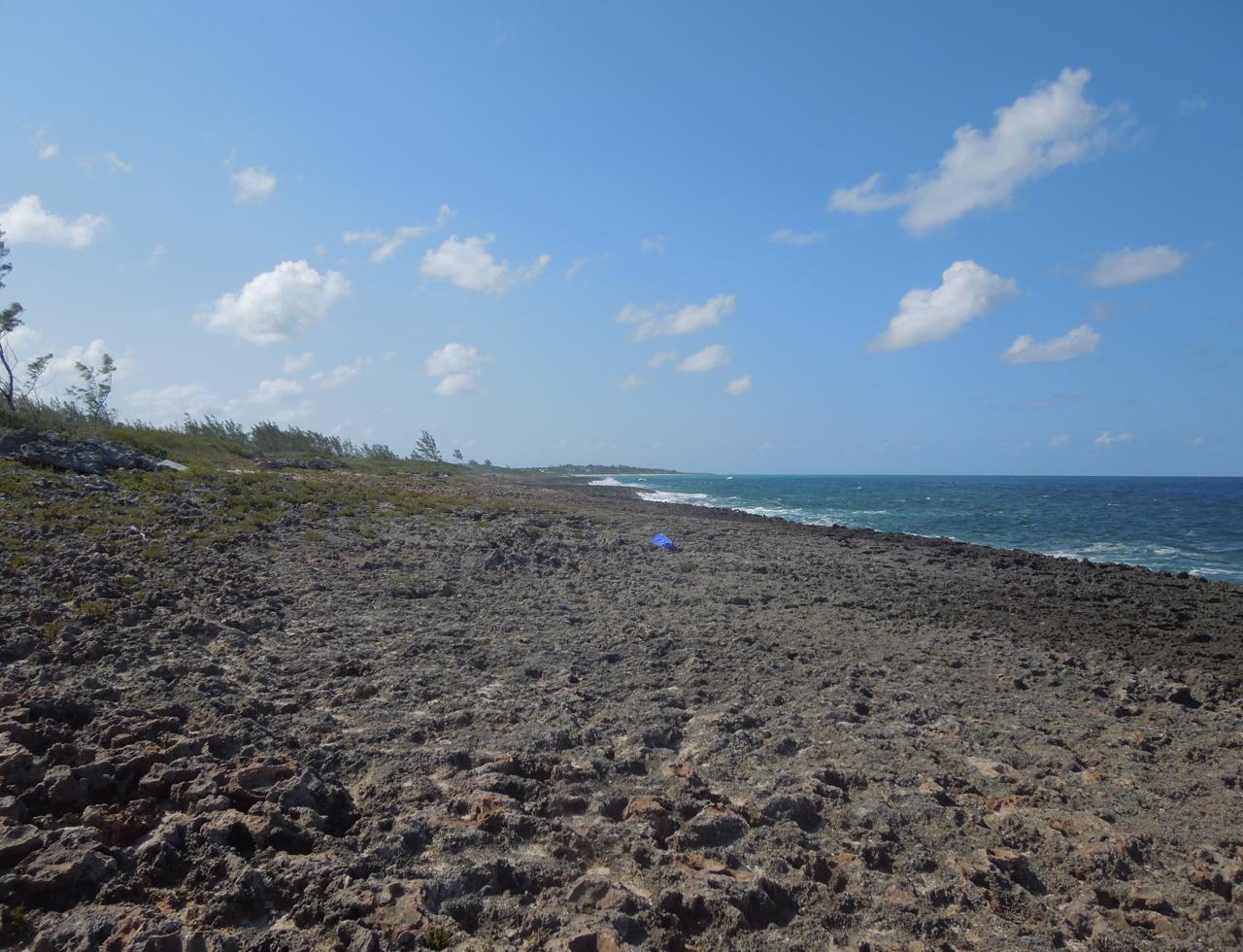 Eleuthera Vacant Lot